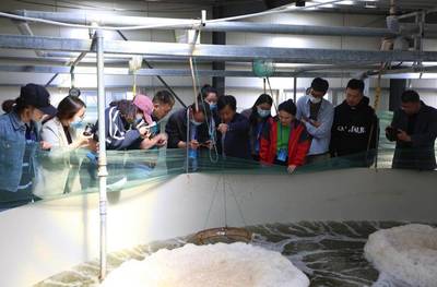 科技助力發展 渤海水產打造環保高效新生產模式