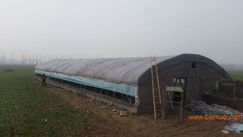 鄭州養殖大棚籌建廠家育苗大棚建造設計方案,鄭州養殖大棚籌建廠家育苗大棚建造設計方案生產廠家,鄭州養殖大棚籌建廠家育苗大棚建造設計方案價格