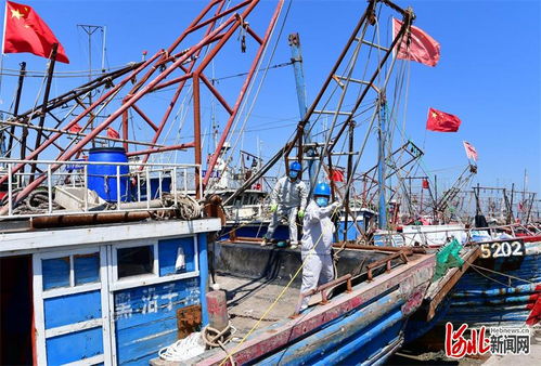 河北唐山 千帆追 鮮 開捕 電力貼心護航